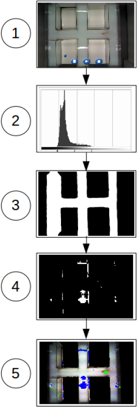 Figure 1 Step 1: Take a video frame. Step 2: Apply Histogram equalization to the input frame. Step 3: Binarize the equalized image to identify bright reflections. Step 5: Run IMBS and exclude previously identified bright reflections from tracking. For visualization purposes, the excluded reflections are shown in blue and the trackable regions, classified as foreground pixels, are shown in green. The pink rectangle is not part of the tracking procedure and only to mark the position of the rat.
