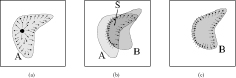 Figure 3 From left to right: An initially grown area A shrinks to its intersection with the new area (B), before growing to the boundaries of B. Images used with permission.