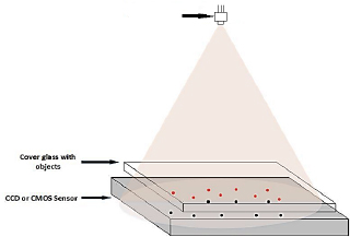 Figure 1 Experimental setup.
