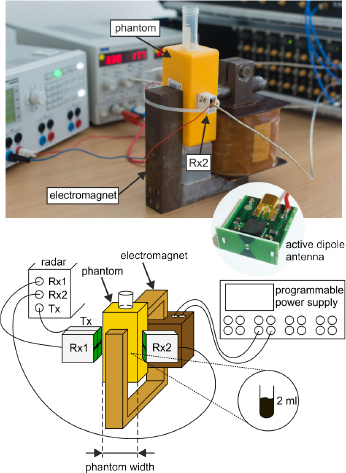 Figure 1 Experimental measurement setup for contrast investigations. The oil-gelatin phantom is placed inside the air gap of the electromagnet. Small active dipole antennas and M-sequence radar are applied for measurements. A programmable power supply is used to modulate the magnetic field intensity.