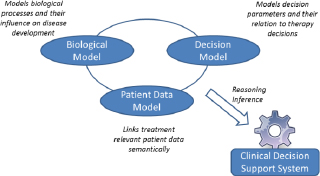 Figure 1 By integrating information on biological processes, decision processes and clinical data, a model-based decision support system can be built. Information from one model is relevant for calculations in another one.