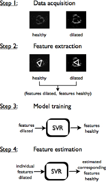 Figure 2 The main steps of the presented method. At first, ultra-sound images are acquired. Then, geometrical features are extracted to get tupels of features in the healthy and dilated state. With these tupels, an SVR-model is trained. This model allows feature estimation.