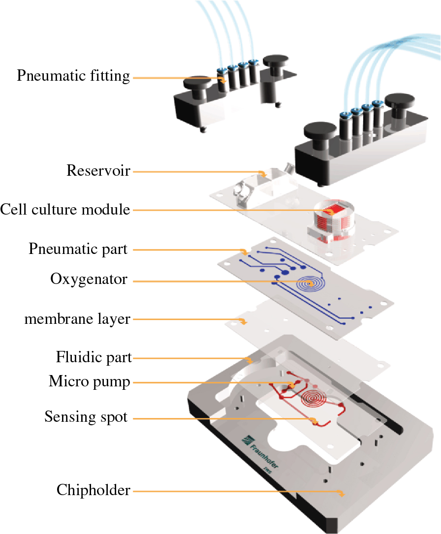 Figure 2: Exploded view of the microfluidic system.