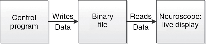 Figure 2: Data flow diagram on the computer: the control program writes the data into a binary file. The data is then simultaneously read from the binary file with the program Neuroscope and displayed in a live mode.