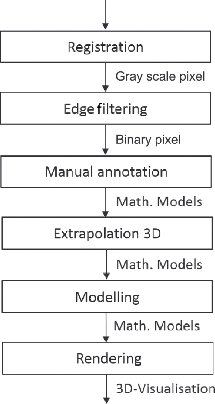Figure 2 Workflow for automatic segment propagation.