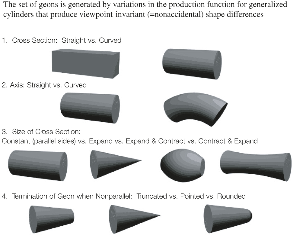 Figure 1: Spatial configurations of GEONs are used in human object recognition according to Biederman’s recognition-by-components theory.Image author Irving Biederman. Source: https://upload.wikimedia.org/wikipedia/commons/d/db/Geon2.png. Published under the GFDL.