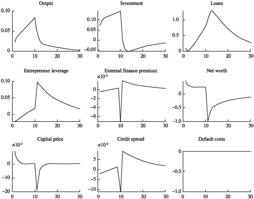 Figure 8 Impulse Response under Expectation Reversal