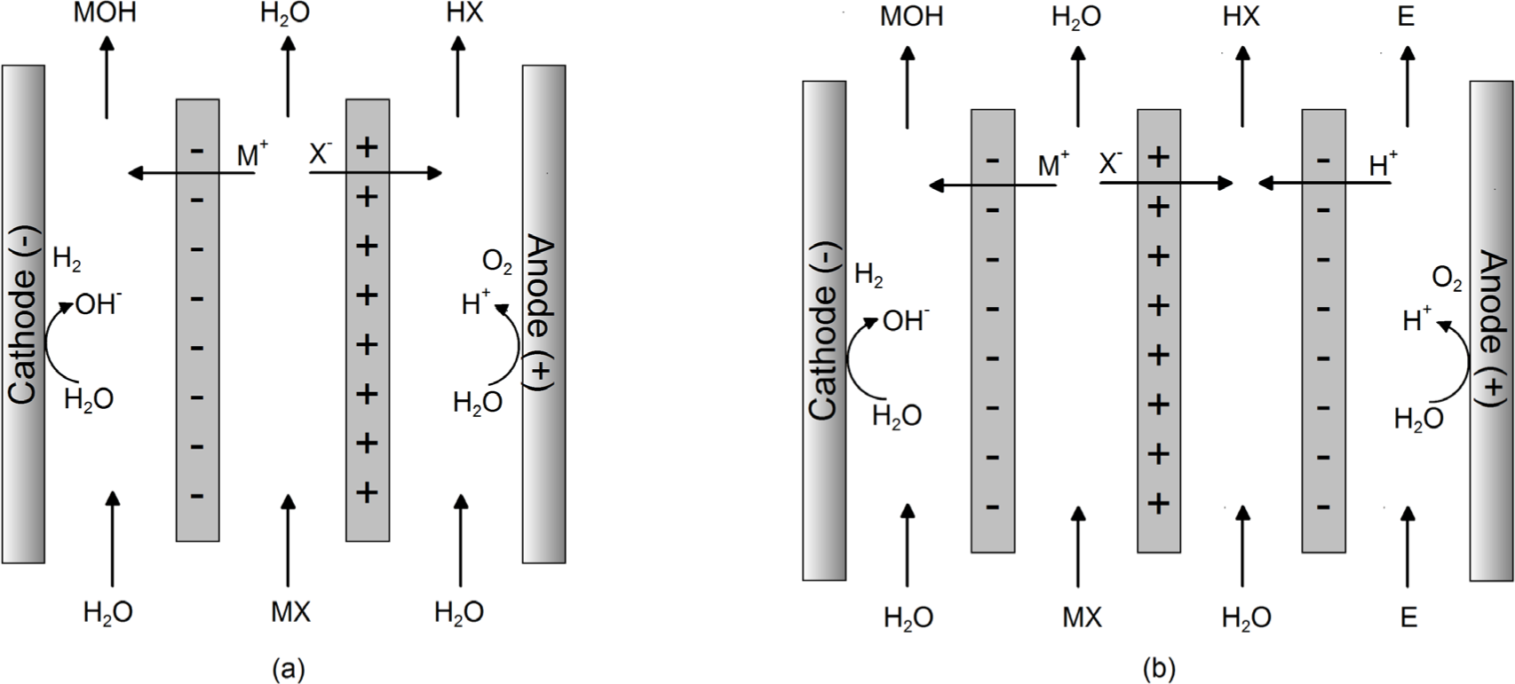Figure 2 Schematic representation of electro-electrodialysis systems.