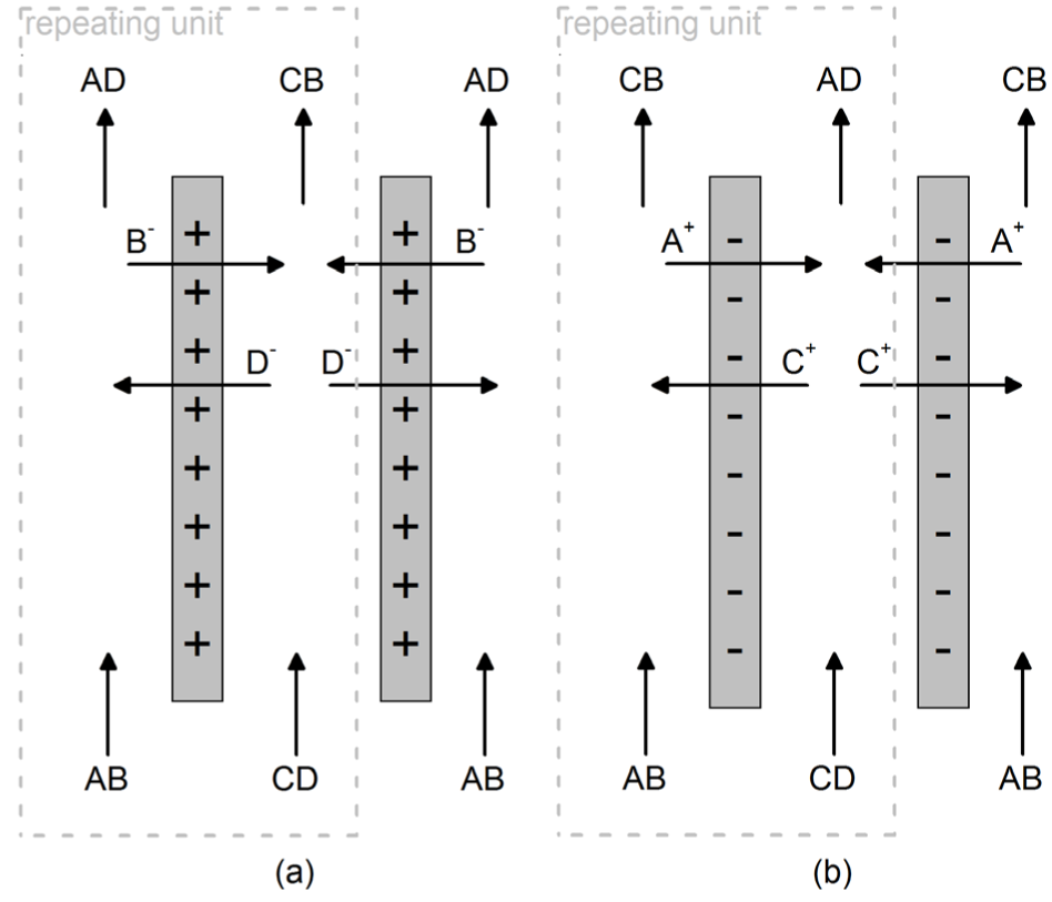 Figure 6 Schematic representation of Donnan dialysis.
