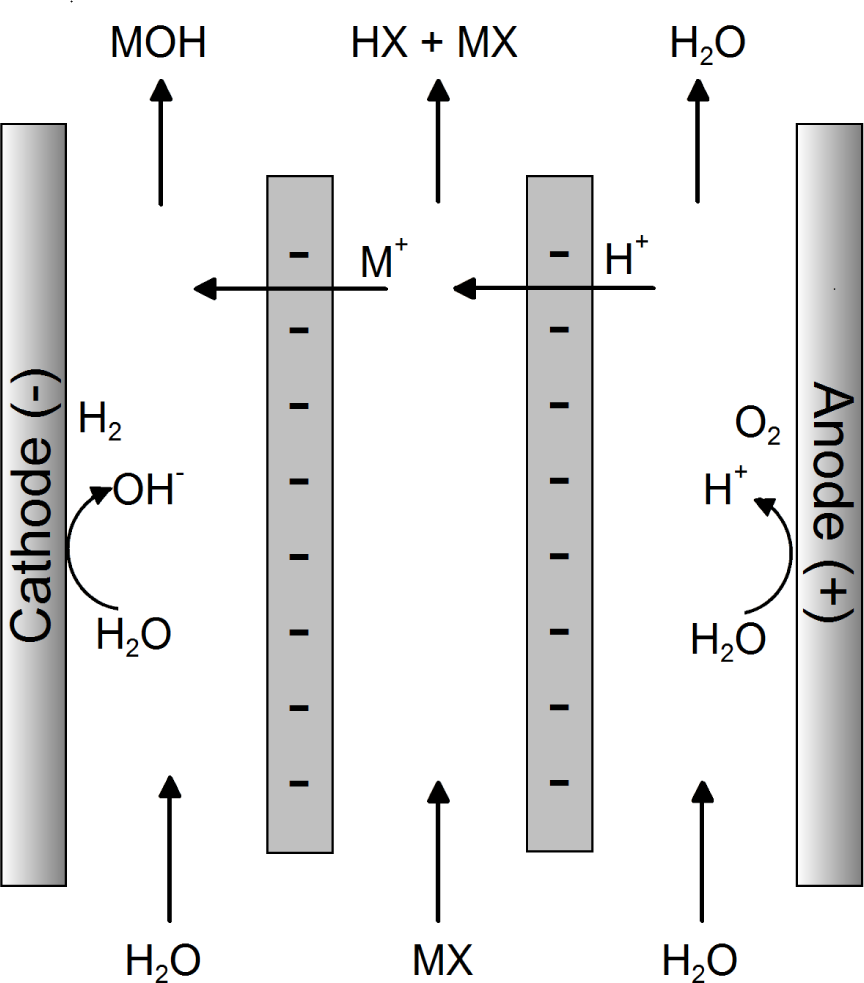 Figure 7 Schematic representation of EED combined with ISED.