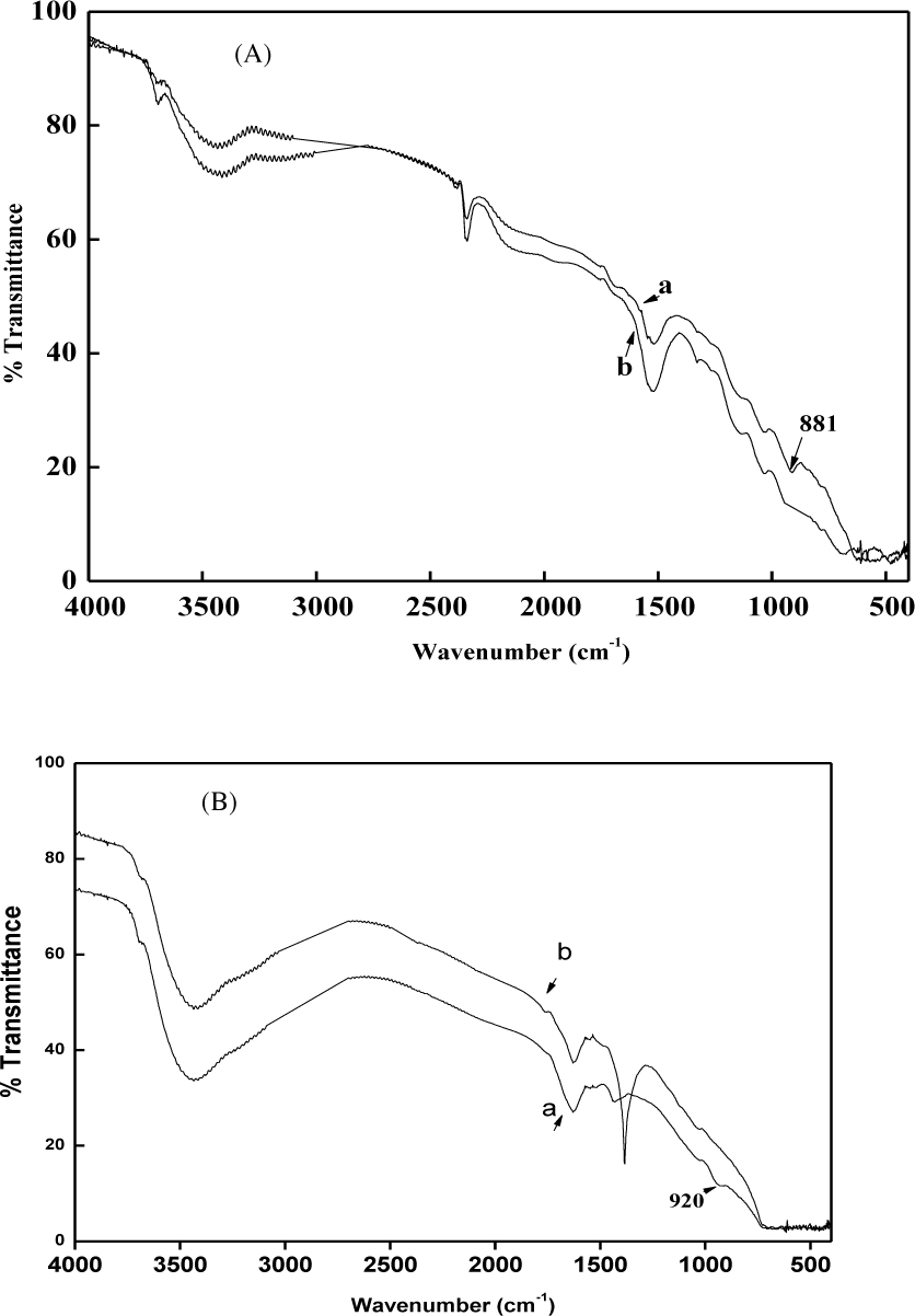 Figure 3 (A) FTIR spectra of micro-powder Fe2O3 (b) before and (a) after Cr(VI) adsorption. (B) FTIR spectra of nano-powder Fe2O3 (b) before and (a) after Cr(VI) adsorption.
