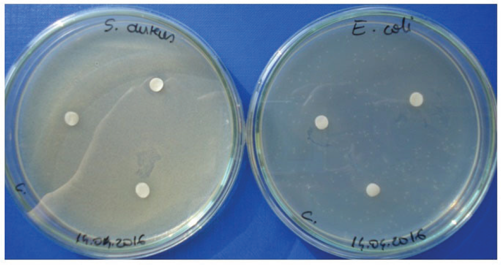 Figure 1 Determination of bacterial sensitivity (A - Staphylococcus aureus, B - Escherichia coli) in discs impregnated with A. cepa liquid extract, after 72 hours of incubation.