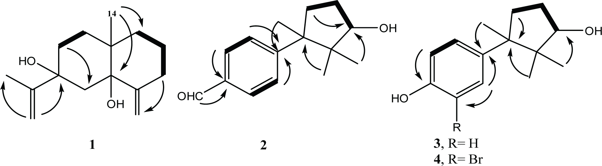 Figure 2 Selected H-H COSY () and HMBC correlations of compounds 1-4 ()