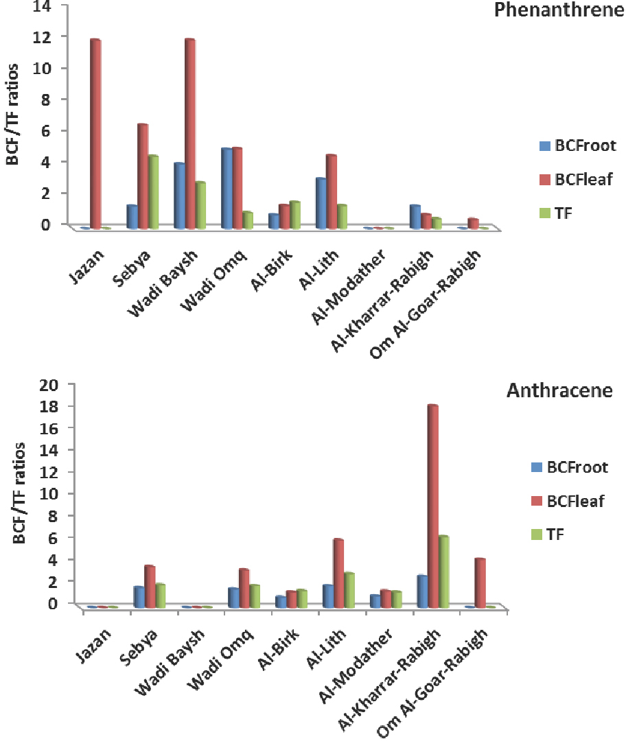 Figure 3 Bio-concentration factors (roots and leafs) and translocation factors for phenanthrene and anthracene in mangrove plants in the study area.