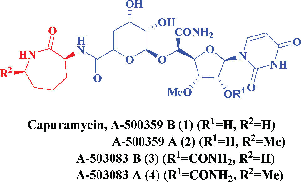 Figure 1 Capuramycin and its congeners.