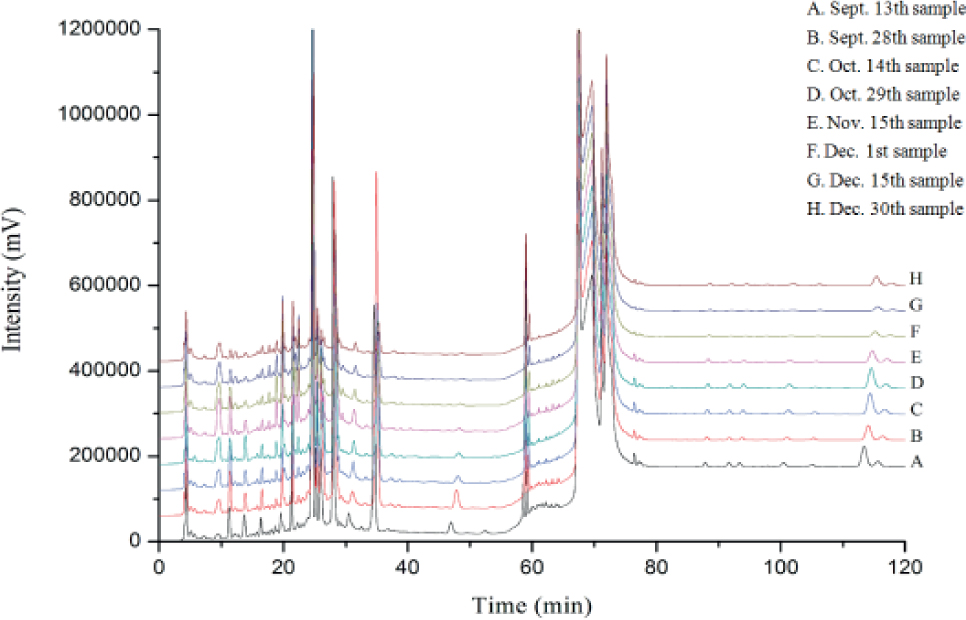 Figure 1 Chromatogram of eight growth periods of Ligustri Lucidi Fructus.