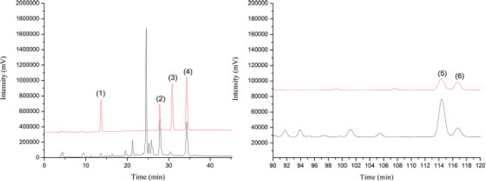 Figure 2 HPLC chromatograms of standard reference substances (red) and a sample. 1, Salidroside; 2, Specnuezhenide; 3, Ligustroflavone; 4, Oleuropein; 5, Oleanolic acid; and 6, Ursolic acid