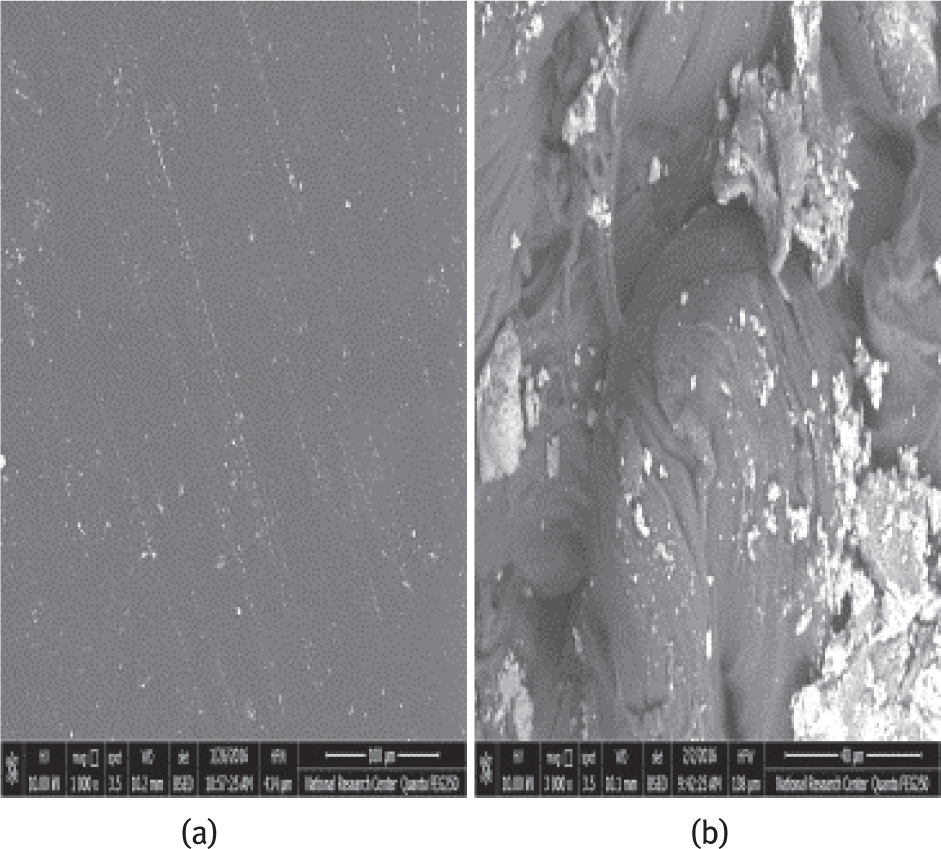 Figure 4 SEM of a) PP and b) PP/10%APP. (The magnification equal 3000).