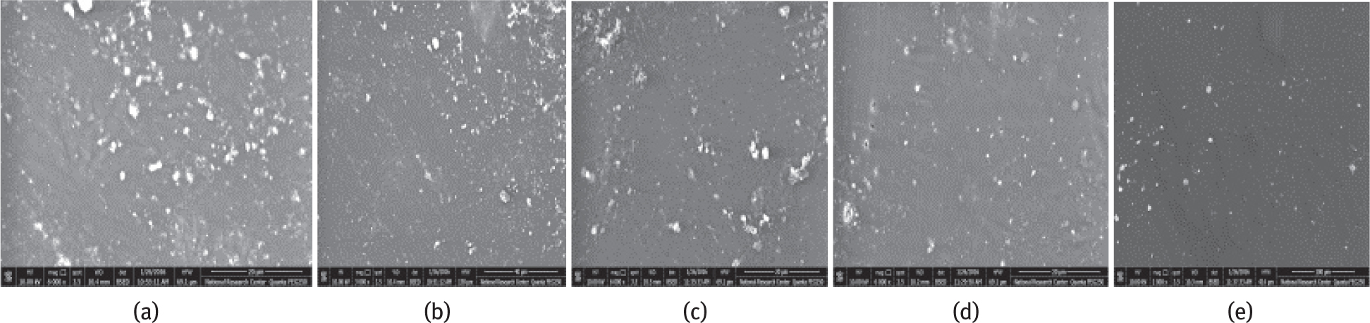 Figure 5 SEM of a)Mt2, b) Mt4, c)Mt6, d)Mt8 and e)Mt10. (The magnification equal 3000).