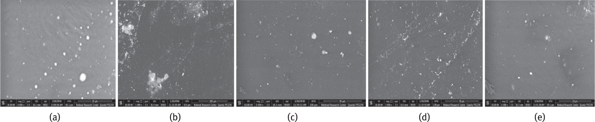 Figure 6 SEM of a)MtT2, b) MtT4, c)MtT6, d)MtT8 and e)MtT10. (The magnification equal 3000).