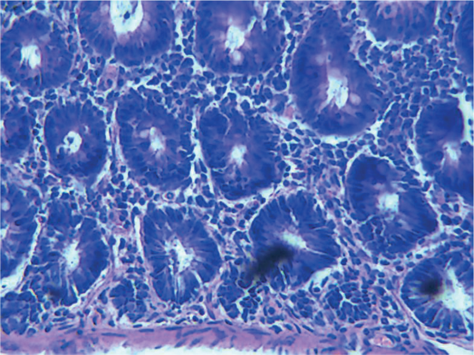 Figure 6f Low dose group.