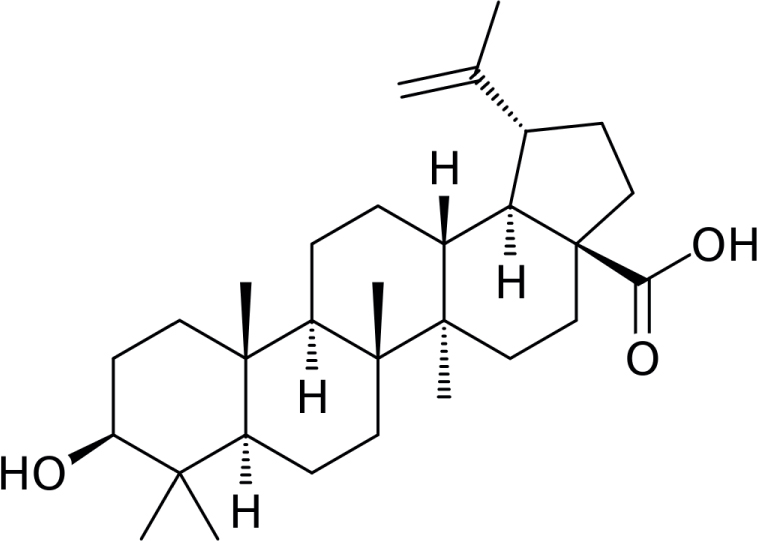 Figure 3 Chemical structure of betulinic acid (compound 1) isolated from Lycopus lucidus.