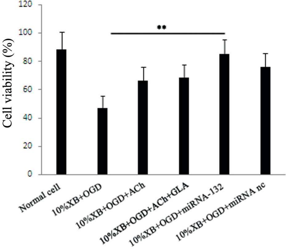 Figure 3 Analysis of cell viability of renal macrophages in rats using the MTT method after processing through different methods. The results are presented as mean ± SD, ** P < 0.01.