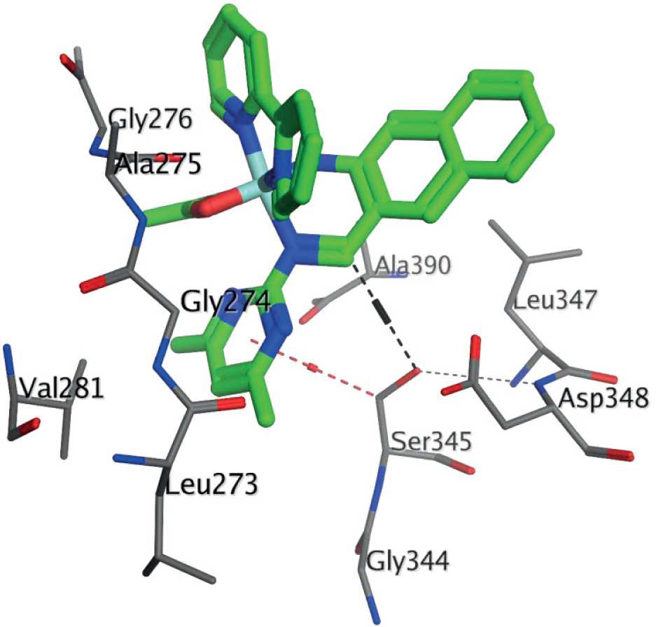Figure 9 2HCK-[Zn(L)(bipy)(OAc)]•H2O complex.