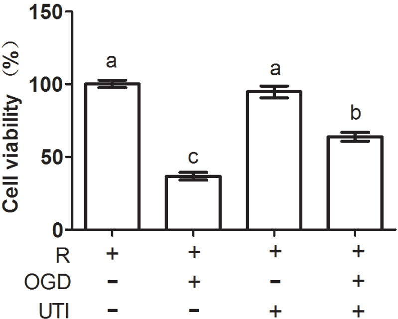 Figure 1 UTI increased the viability of renal tubular epithelial cells in OGD condition. R: Renal tubular epithelial cells; OGD: Oxygen-glucose deprivation; UTI: Ulinastatin. Bars with different letters are significantly different (p < 0.05).