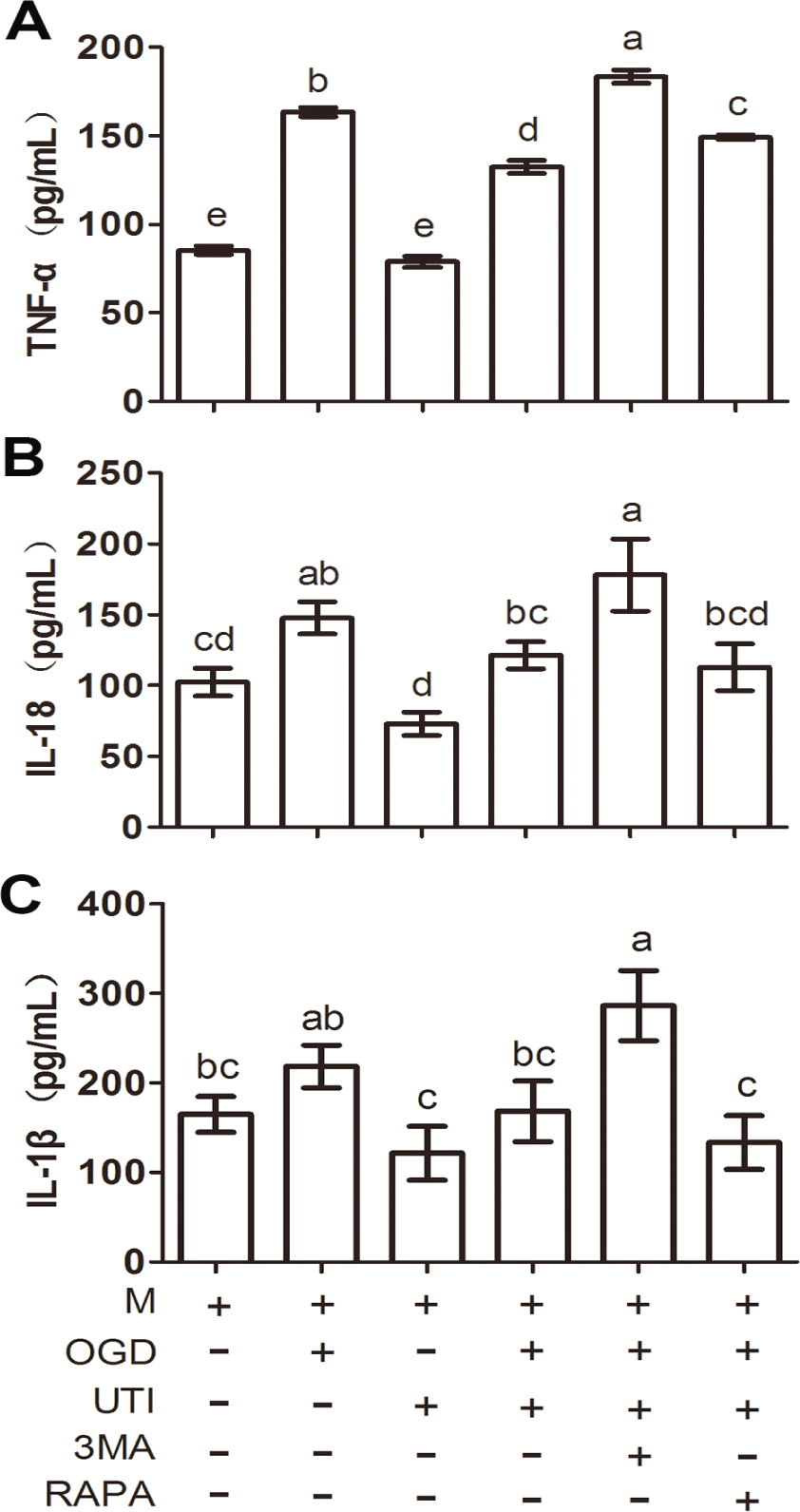 Figure 3 UTI regulated the expression of inflammatory cytokines in macrophages. A: ELISA analysis of the concentration of THF-α in macrophage culture supernatant; B: The concentration of IL-18 in macrophage culture supernatant; C: The concentration of IL-1β in macrophage culture supernatant by ELISA analysis. M: Macrophage; OGD: Oxygen glucose deprivation; UTI: Ulinastatin; 3MA: 3-Methyladenine; RAPA: Rapamycin. Bars with different letters are significantly different (p < 0.05).