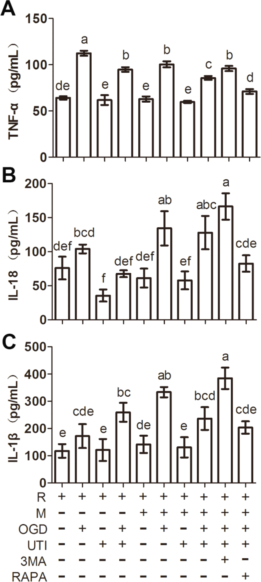 Figure 5 UTI affected the expression of inflammatory factors through autophagy. A: The concentration of TNF-α in the supernatant of renal tubular epithelial cells and macrophage and renal tubular epithelial cells co-culture system by ELISA analysis. B: ELISA analysis of the concentration of IL-18 in the supernatant of renal tubular epithelial cells and macrophage and macrophages co-culture system; C: The concentration of IL-1β in the supernatant of renal tubular epithelial cells and macrophages and renal tubular epithelial cells co-culture system by ELISA analysis. R: Renal tubular epithelial cells; M: Macrophage; OGD: Oxygen glucose deprivation; UTI: Ulinastatin.; 3MA: 3-Methyladenine; RAPA: Rapamycin. Bars with different letters are significantly different (p < 0.05).s