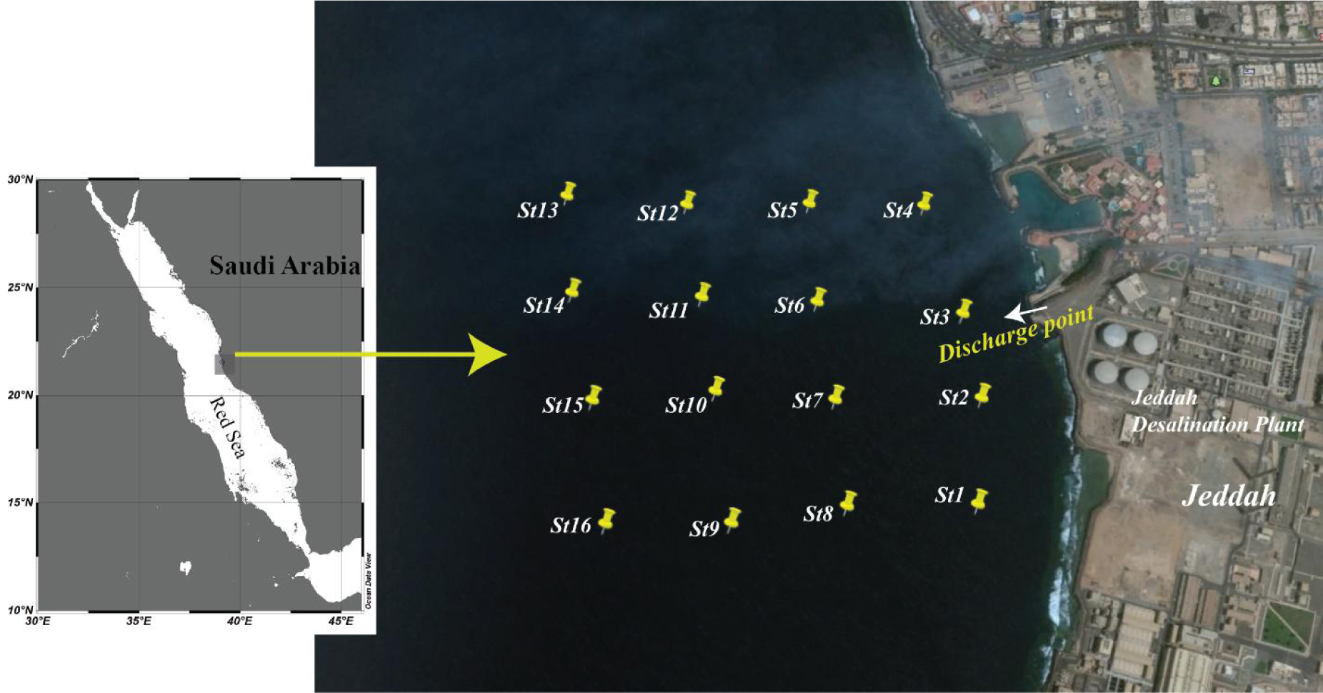 Figure 1 Sampling location in the coastal waters near Jeddah desalination plant.