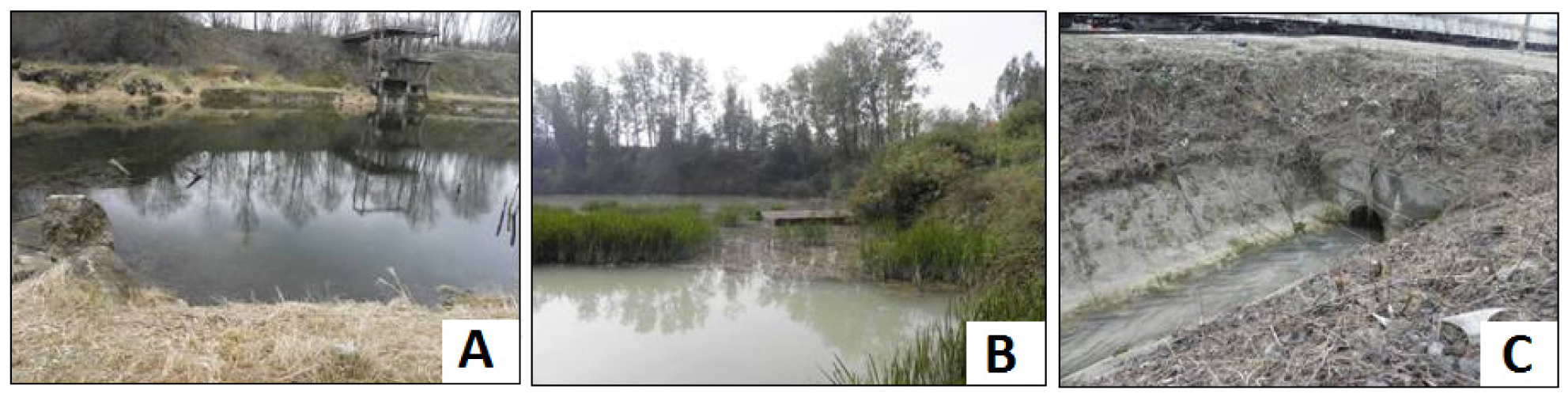 Figure 2 Study area: water reservoir stocked with fish (A), reservoir of technological water (B), the drainage ditch of mining area (C).