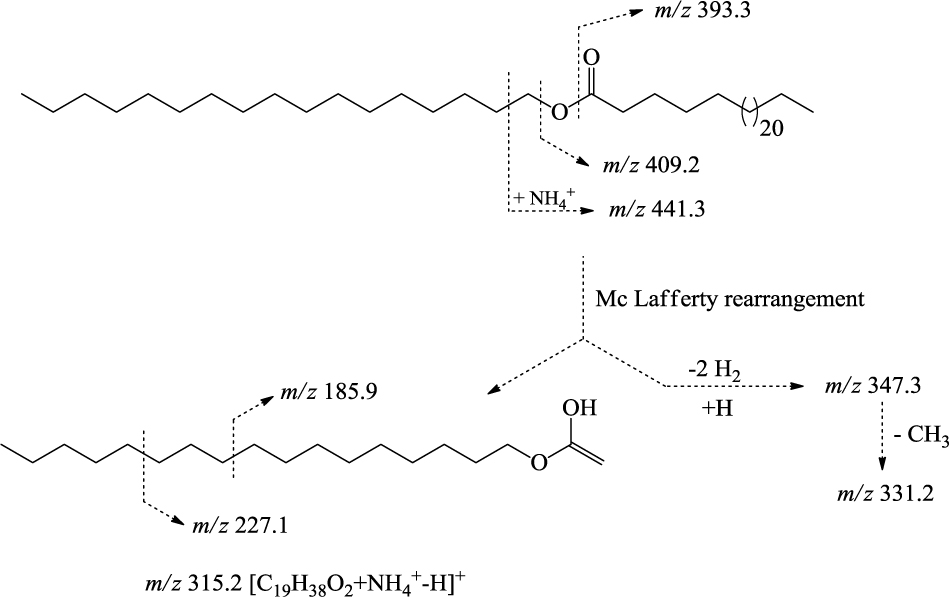 Figure 3 Important fragmentation of compound 4.