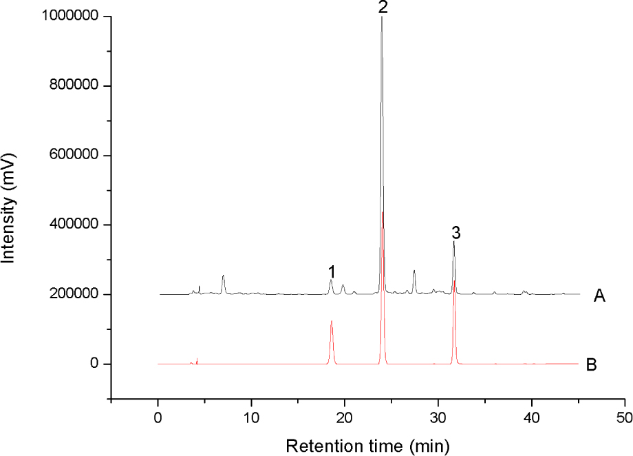 Figure 1 HPLC chromatograms of the sample of M. halliana flowers (A) and the standard solution (B). Peak 1: 3-hydroxyphloridzin; Peak 2: phloretin-4’-O-glycosidase; and Peak 3: afzeloside.