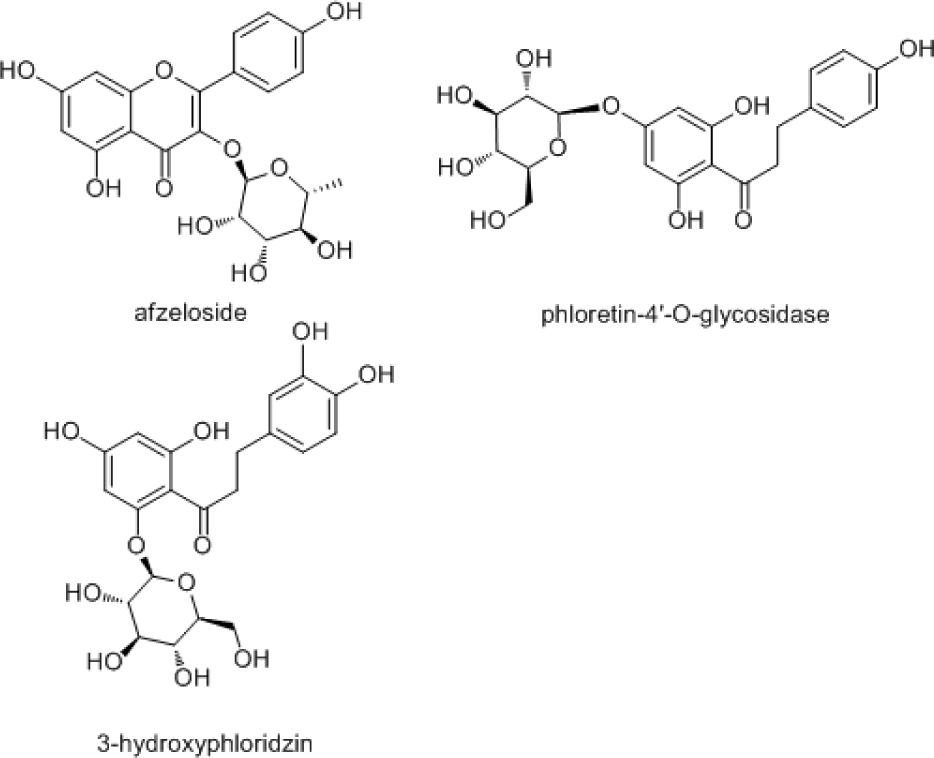 Figure 2 Structure of 3-hydroxyphloridzin, phloretin-4’-O-glycosidase and afzeloside