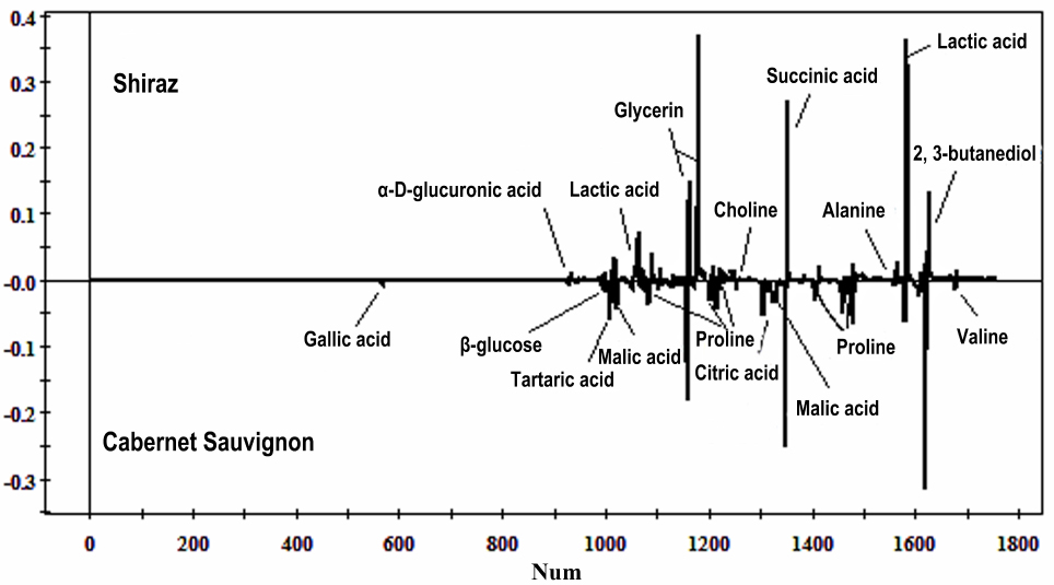 Figure 5 PLS-DA loading plot based on the 1H NMR spectra of Cabernet Sauvignon and Shiraz dry red wines.