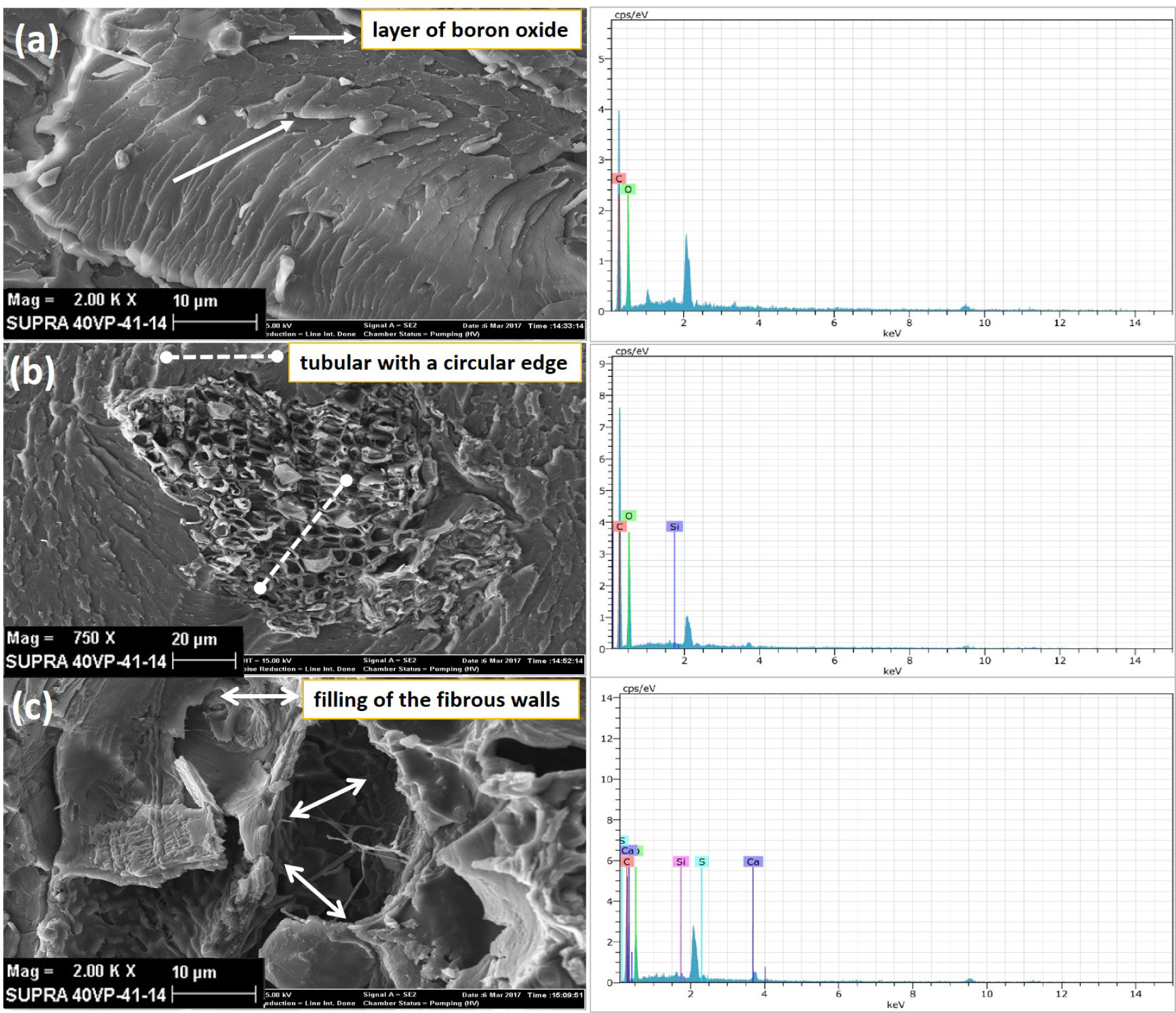 Figure 7 SEM images and EDX results of composite materials a) B1P b) PI1P c) PI1B1P.