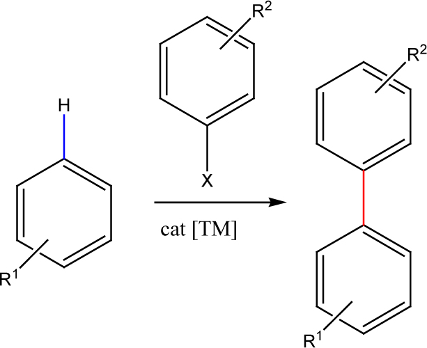 Scheme 1 Transition-metal-catalyzed direct arylation of arenes by C–H bond cleavage [11].
