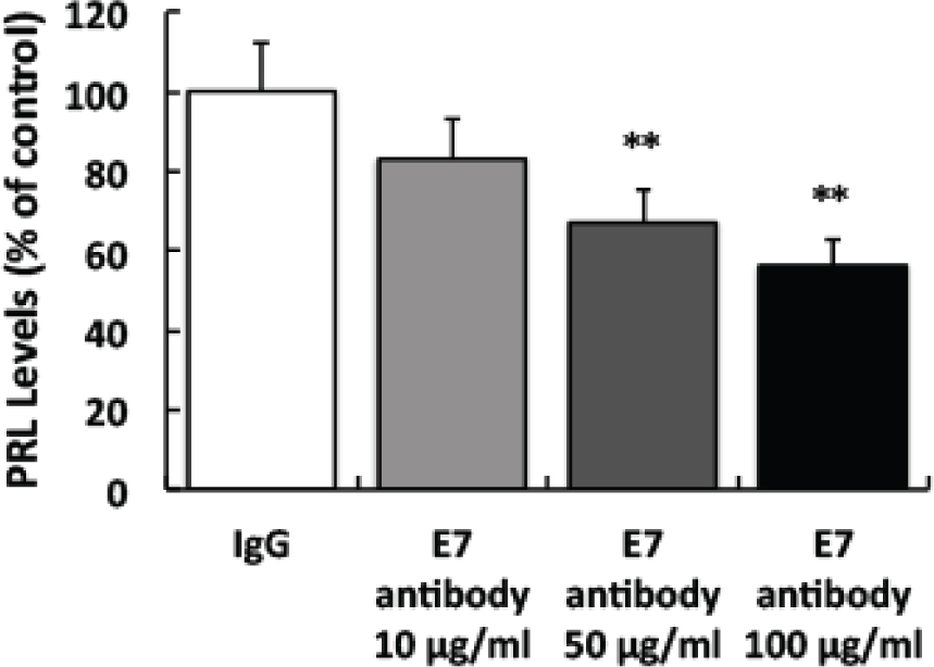 Figure 3 Downregulation of EGFL7 inhibited the PRL secretion from MMQ cells by ELISA. **p<0.01 versus normal human IgG.