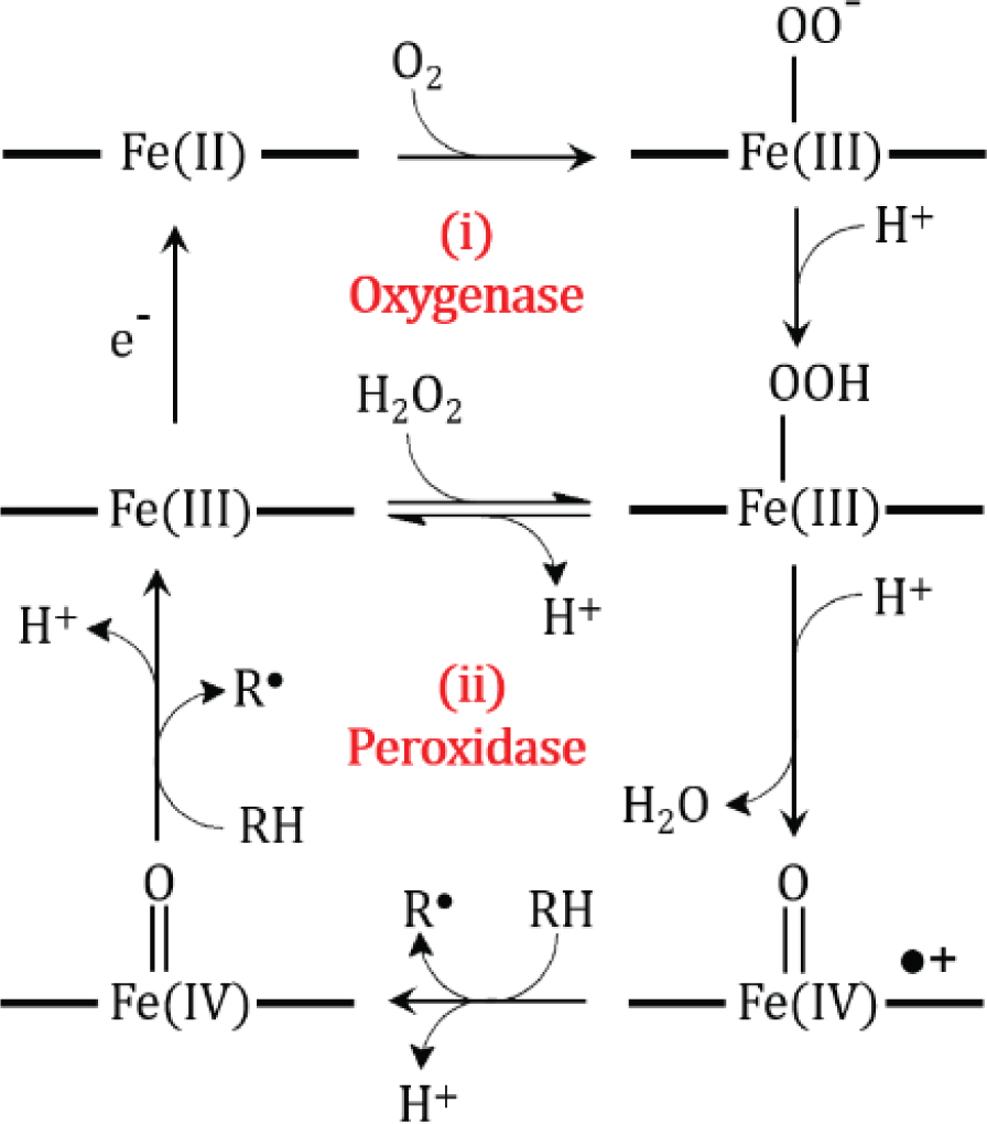 AIR 初回限定版 Amazon.co.jp: AIR 初回限定版 : パソコン・周辺機器