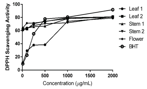 Figure 1 DPPH radical scavenging activity of M. sativa L. extracts at different growing period and standard compound BHT.