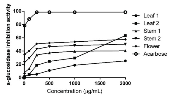 Figure 4 α-glucosidase enzyme inhibition activity of acarbose and M. sativa L. extracts at different growing period.
