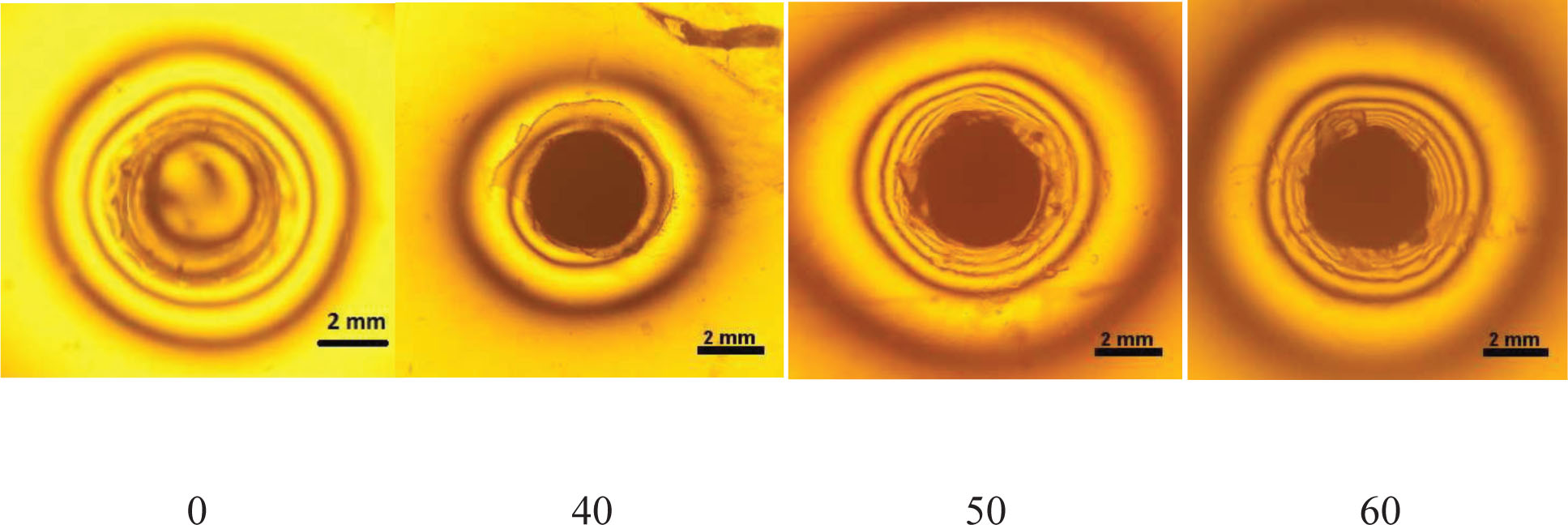 Figure 5 Isochromes in epoxy resin of experimental material with and without filler (0 ÷ 60 wt.%) around restorations, acquired in polarized light with parallel polarization facets.