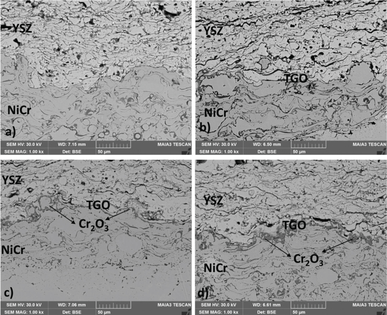 Figure 3 SEM microstructures after a) as-sprayed, b) 8 h, c) 24 h and d) 50 h oxidation tests at 1000°C.