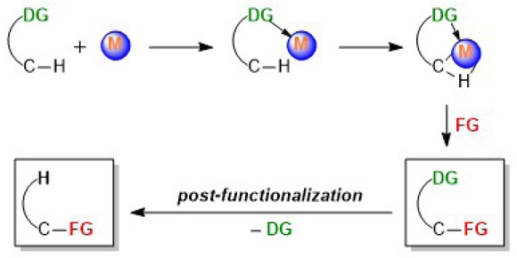 Figure 2.1 Mode of action of the donor/directing group (DG) for the selective C–H activation.