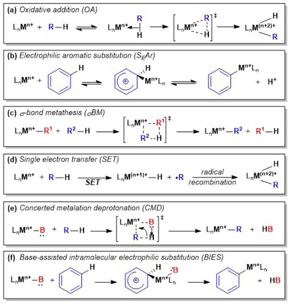 Figure 2.2 Different mechanisms for C–H activation by a metal complex.