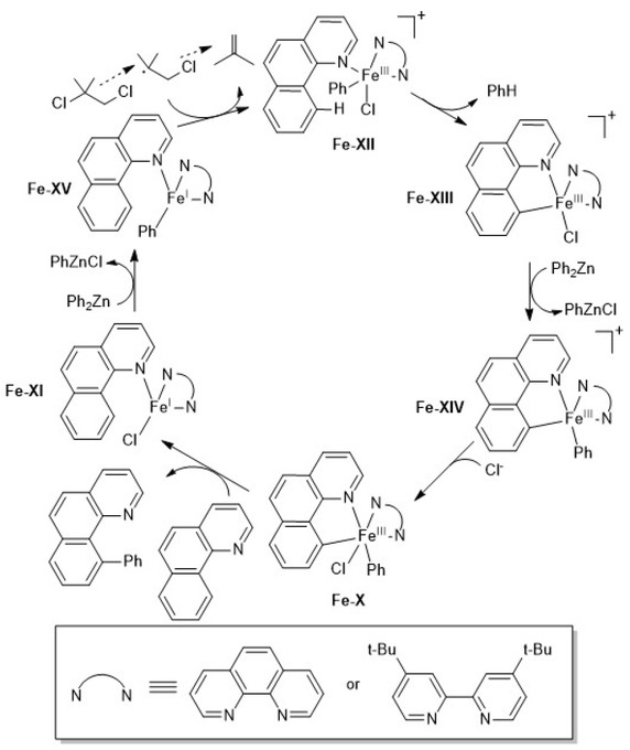 Scheme 3.8 Fe(III)/ Fe(I) catalytic cycle for C–H arylation based on DFT calculations. Adapted from [46].
