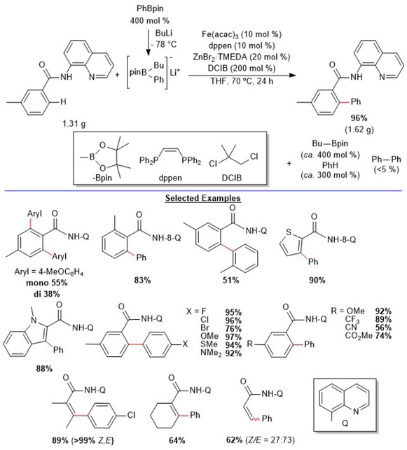 Scheme 3.9 Iron catalyzed C–H arylation of arenes and alkenes with arylboron compounds. Adapted from [48].