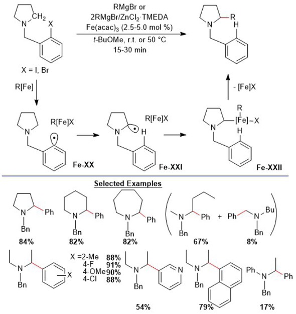 Scheme 3.14. α-C–H functionalization of alkyl amines with Grignard reagents via 1,5-Hydrogen transfer catalyzed by iron. Adapted from [53].